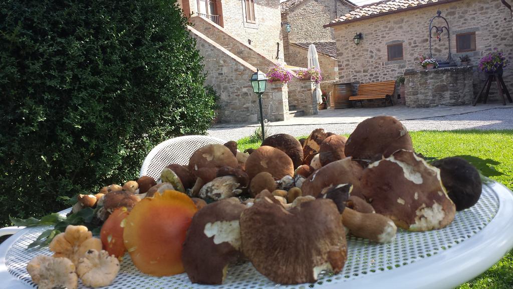 Frühstückspension Casale L'antico Carro *