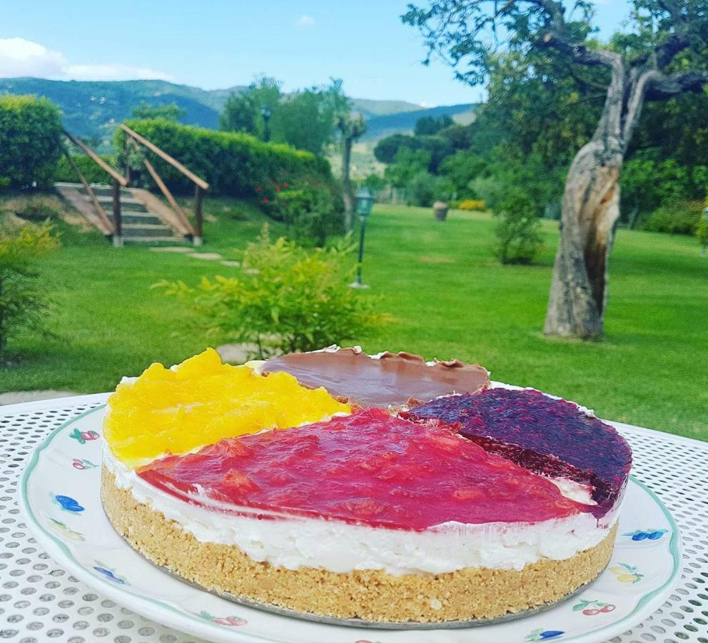 Casale L'antico Carro Frühstückspension